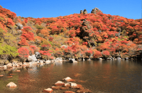 御池の写真