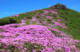 大船山の写真