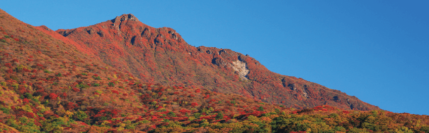 【写真】大船山コース