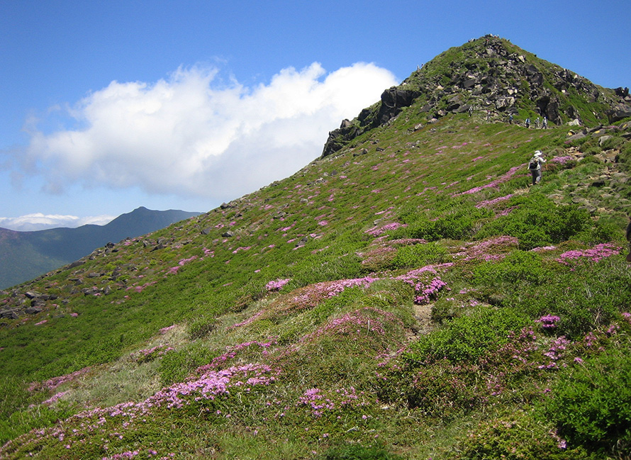 【写真】くじゅう連山トレッキング