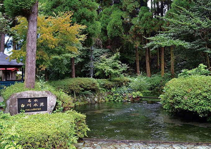 【サムネイル】白川水源等の湧水群