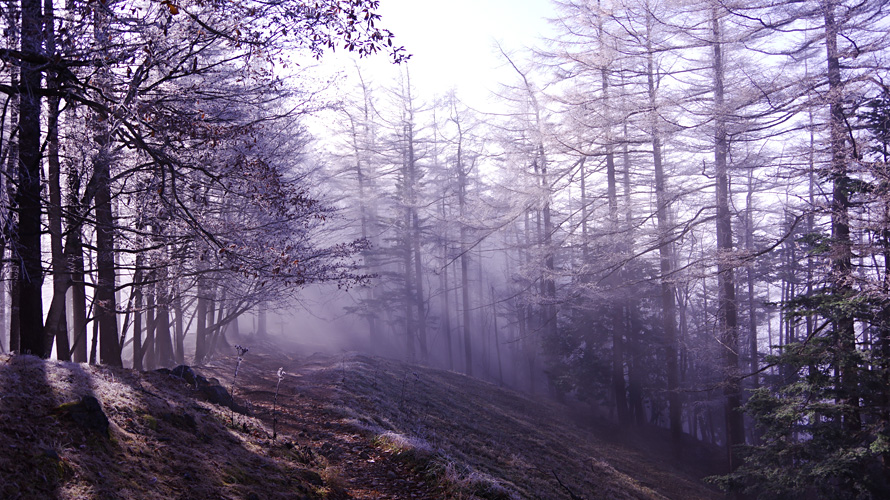 【写真】雲取山