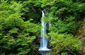 鳥取県最大の名瀑の写真