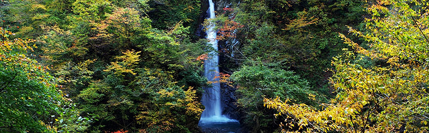 【写真】大山滝中国自然歩道ウォークコース
