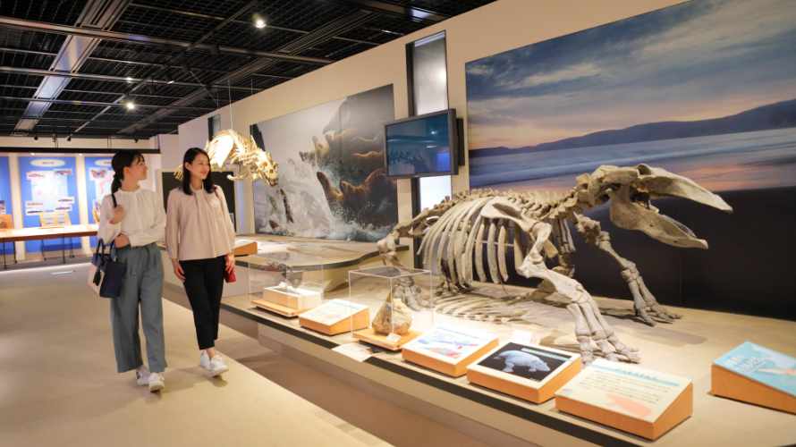 【写真】島根県立三瓶自然館サヒメル