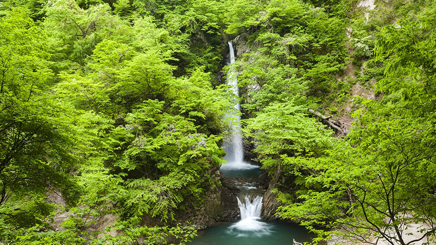 【写真】大山滝