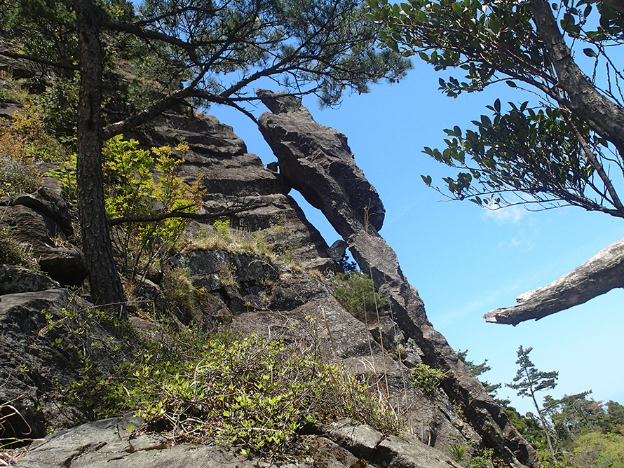 【写真】トカゲ岩