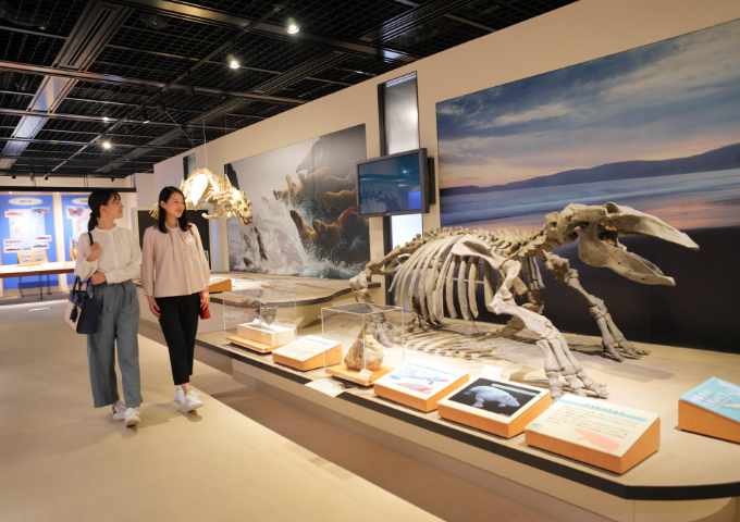 【サムネイル】島根県立三瓶自然館サヒメル