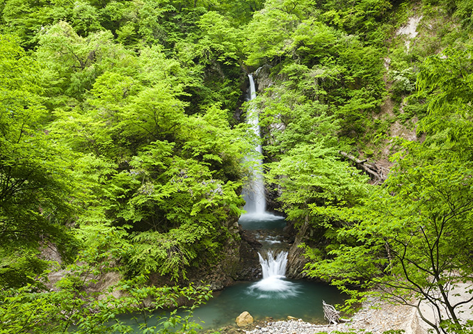 【サムネイル】大山滝