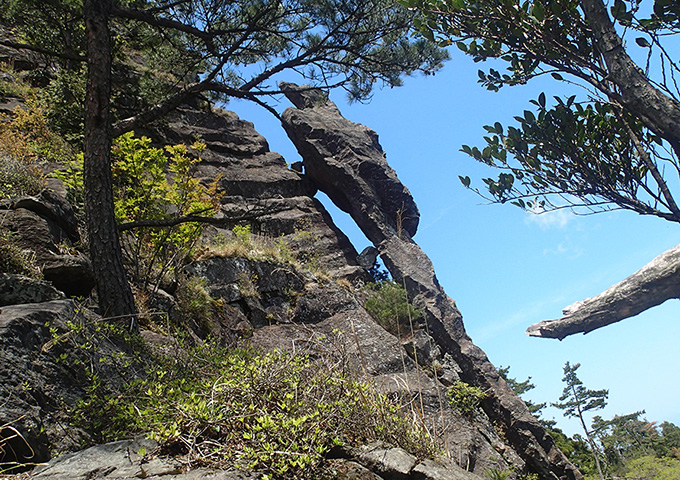 【サムネイル】トカゲ岩
