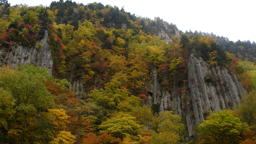 【写真】柱状節理