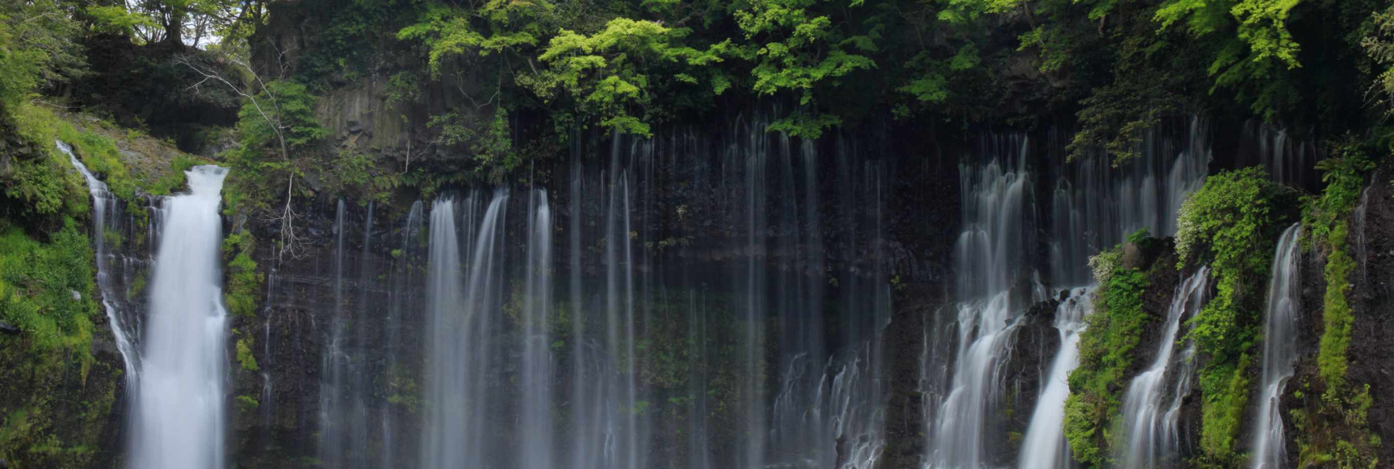 富士箱根伊豆国立公園（PC表示）