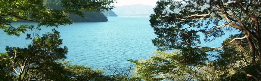 【写真】芦ノ湖西岸コース