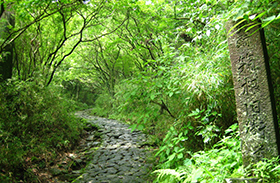 旧東海道 石畳の道の写真