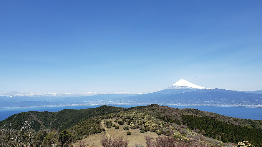 【写真】金冠山