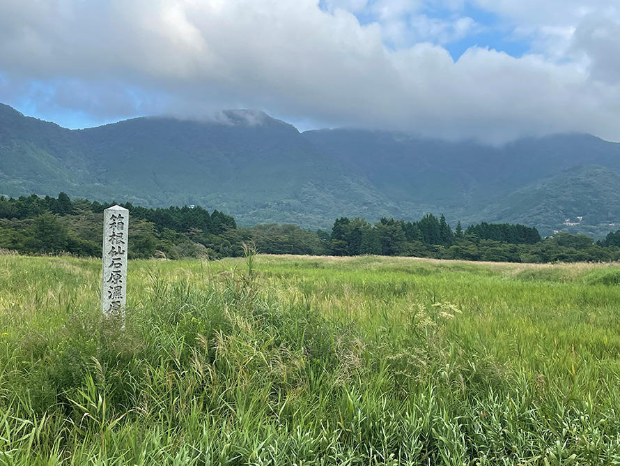 【写真】仙石原湿原植物群落