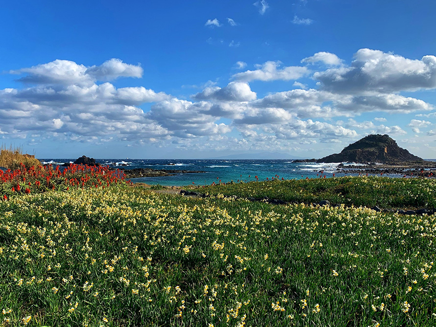 【写真】爪木崎