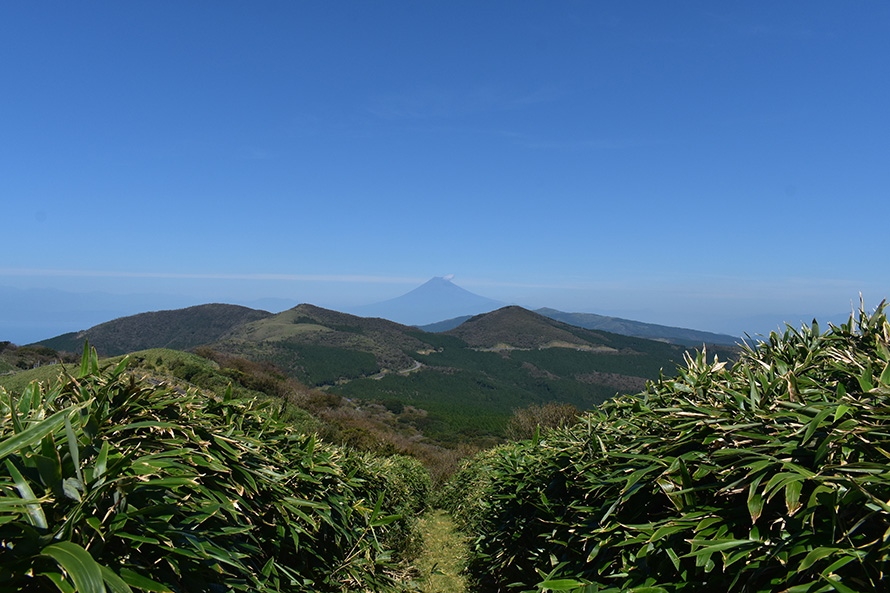 【写真】伊豆山稜線歩道