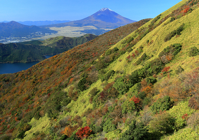 【サムネイル】箱根駒ヶ岳