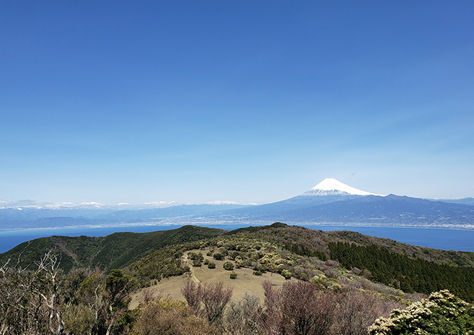 【サムネイル】金冠山