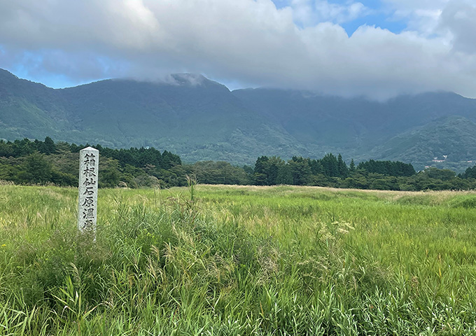 【サムネイル】仙石原湿原植物群落