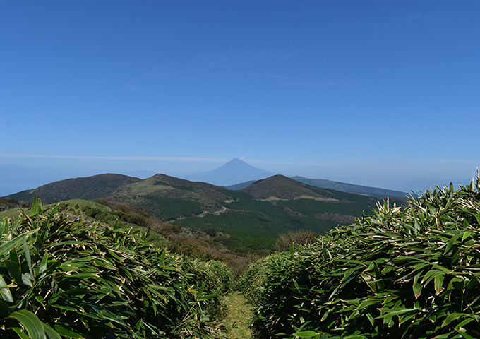 【サムネイル】伊豆山稜線歩道