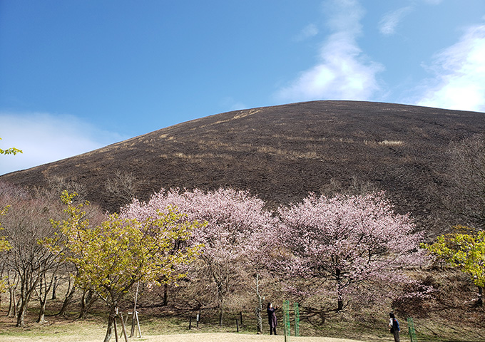 【サムネイル】大室山の山焼き