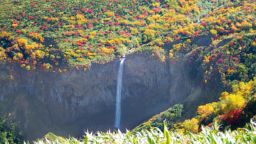 【写真】百四丈の滝