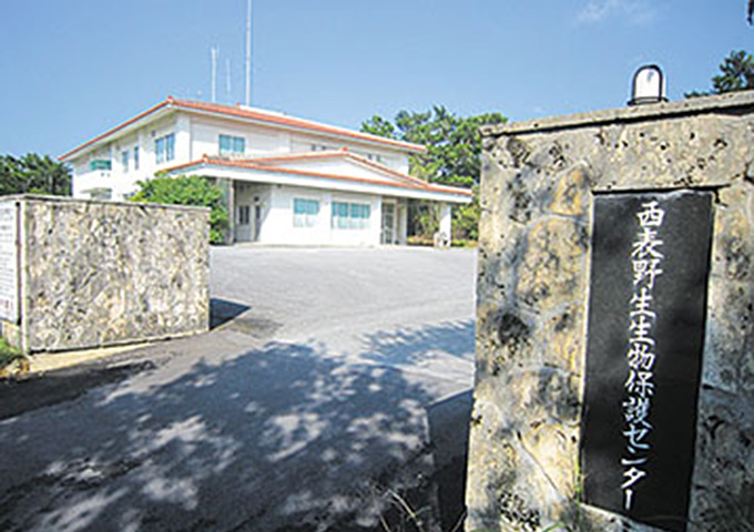 【サムネイル】西表野生生物保護センター