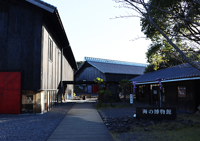 【サムネイル】海の博物館