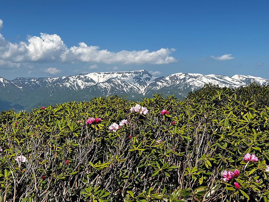 【写真】平標山