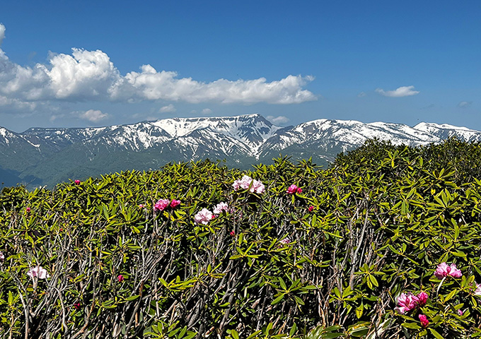 【サムネイル】平標山