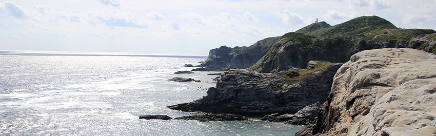 【写真】渡嘉敷島展望台巡りコース