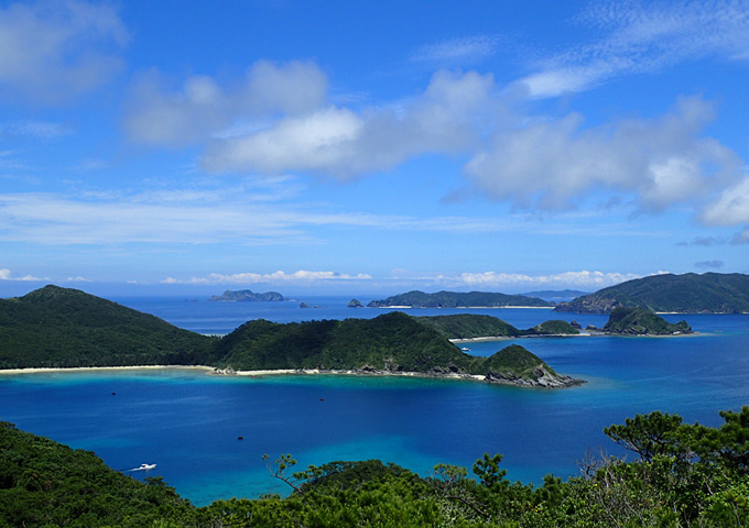 【サムネイル】高月山展望台