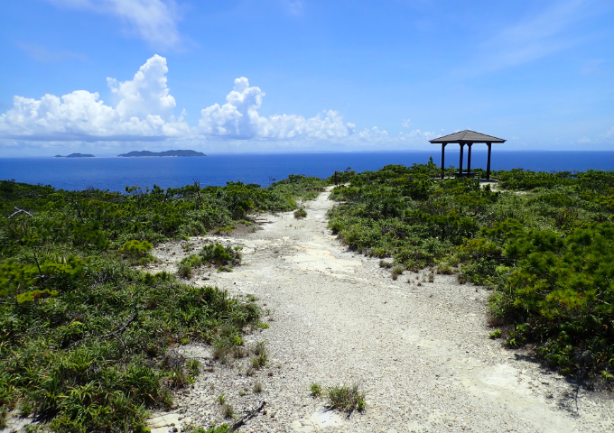 【サムネイル】見花原遊歩道