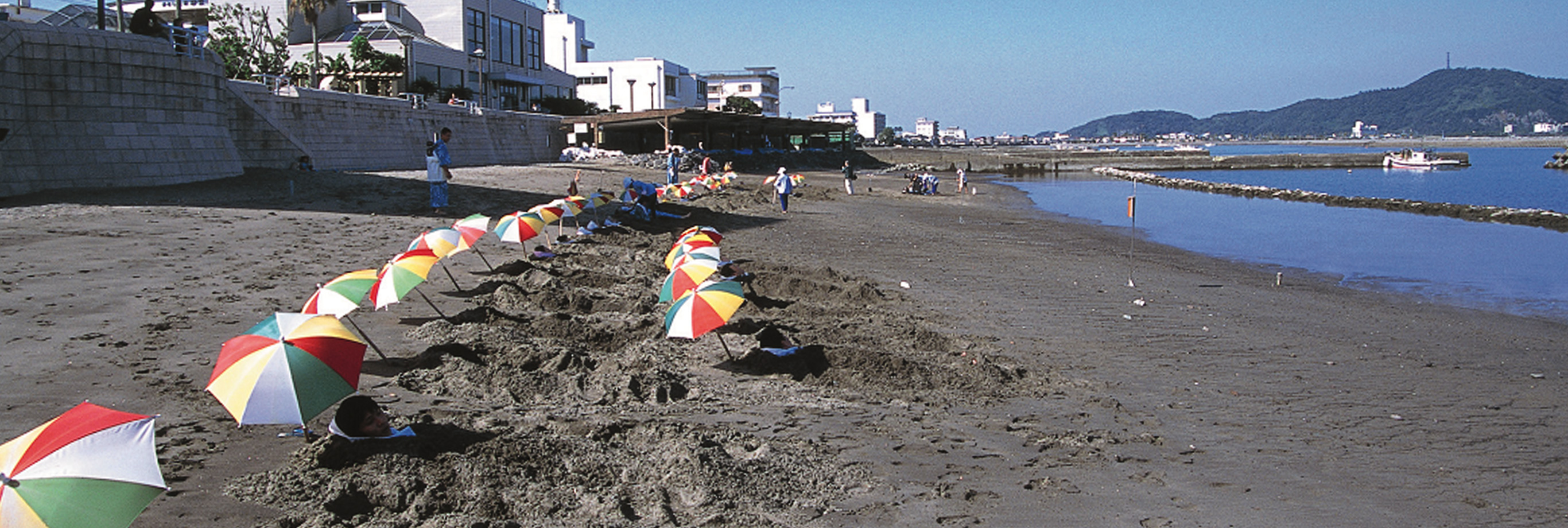 霧島錦江湾国立公園（PC表示）