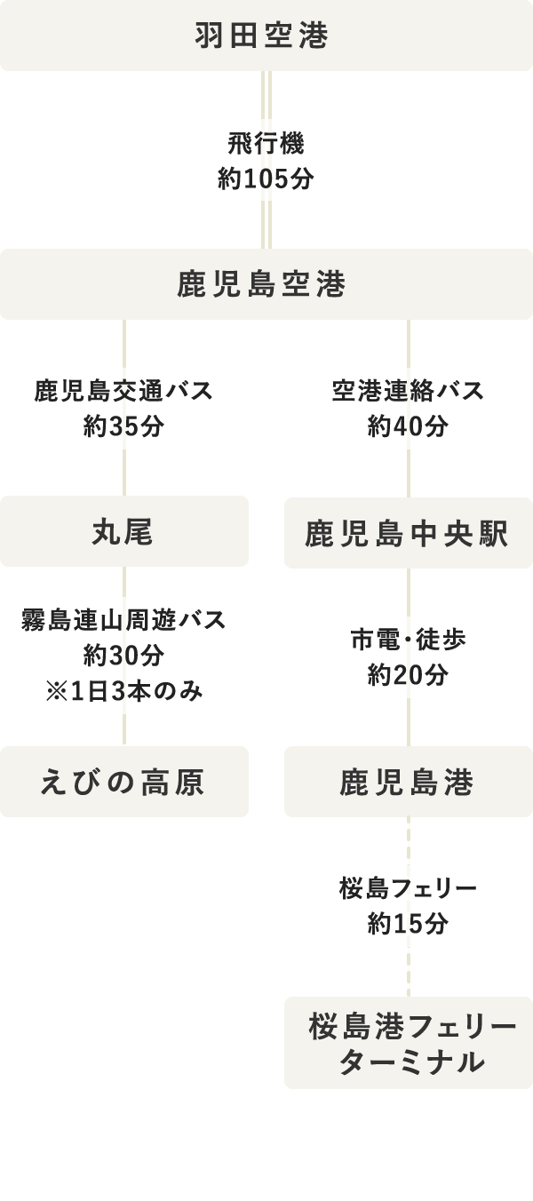 タイムテーブル（SP表示）