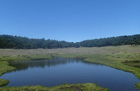 甑岳山頂の浅い火口にある湿原の写真