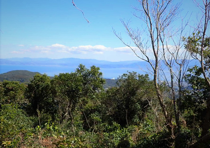 【サムネイル】鷲尾岳