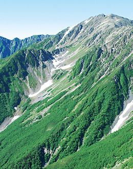 富士箱根伊豆国立公園 | 国立公園一覧 | 国立公園に、行ってみよう