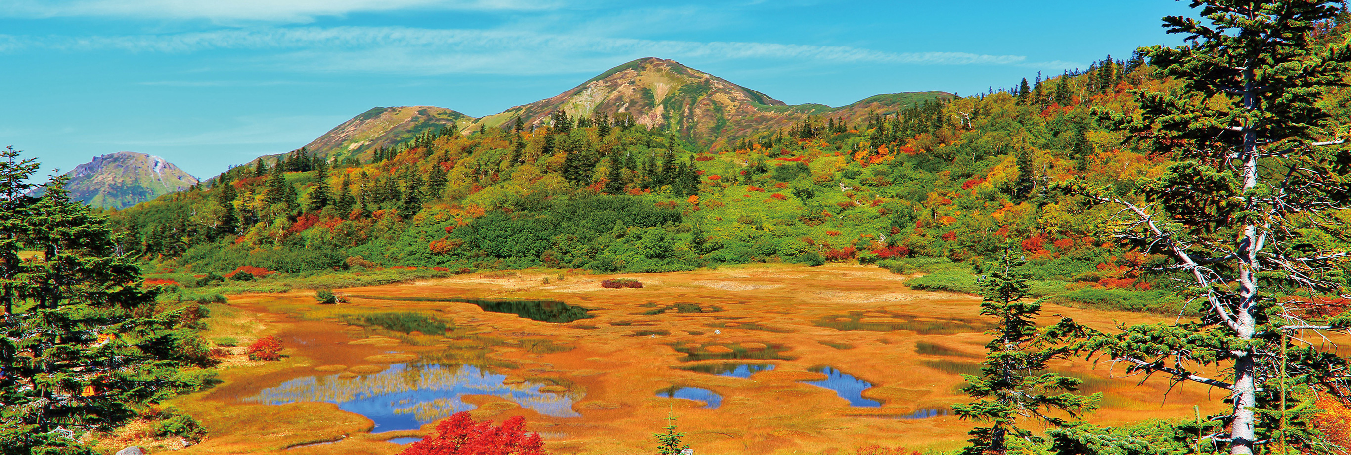 妙高戸隠連山国立公園（PC表示）