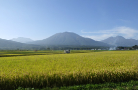 田園ごしの一目五山の写真