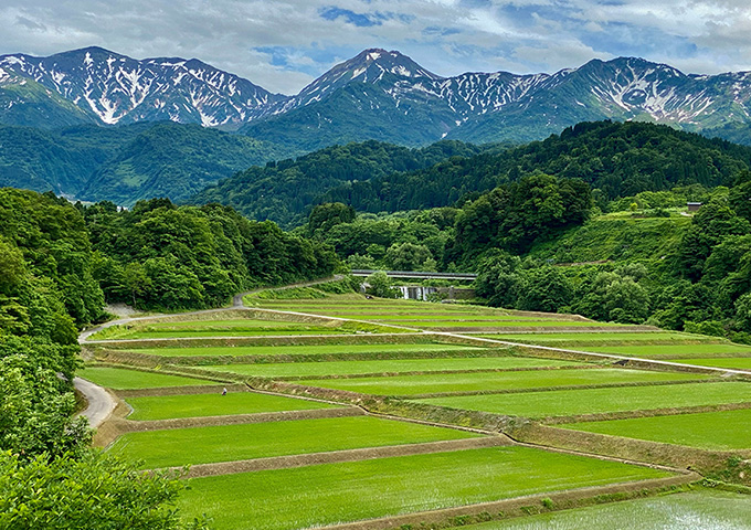 【サムネイル】米