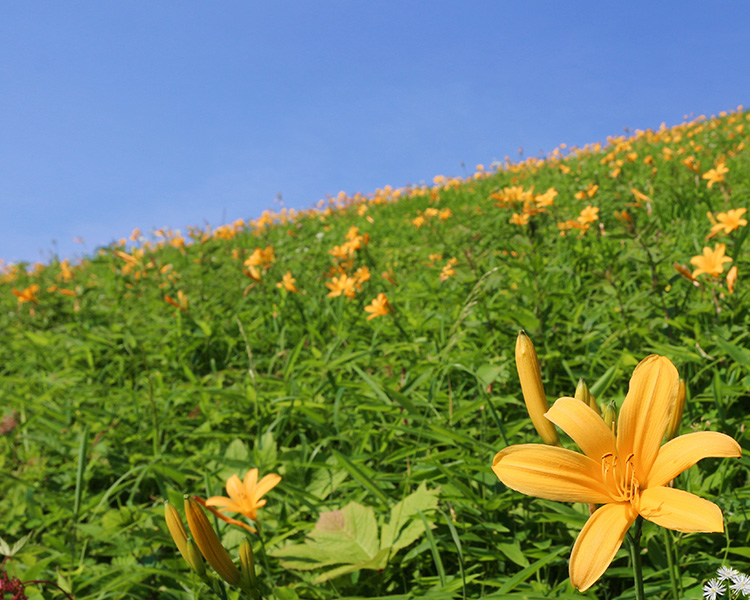 日光国立公園（SP表示）