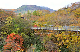 標高1,200 mにある絶景吊橋の写真