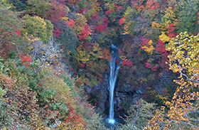 季節で姿を変える滝の写真