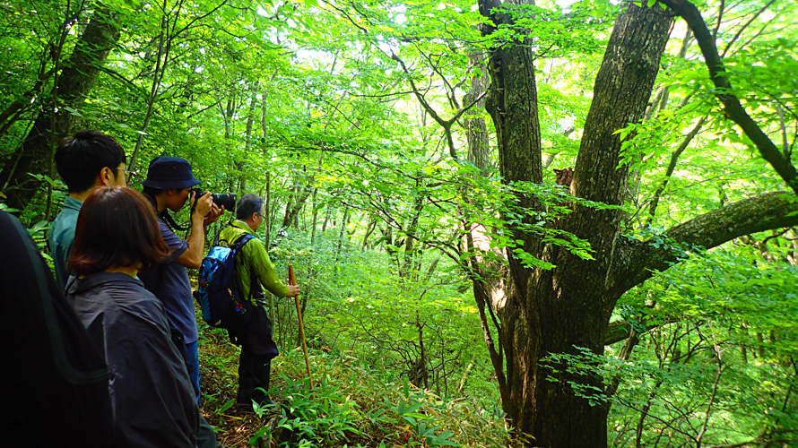 【写真】那須平成の森ガイドツアー