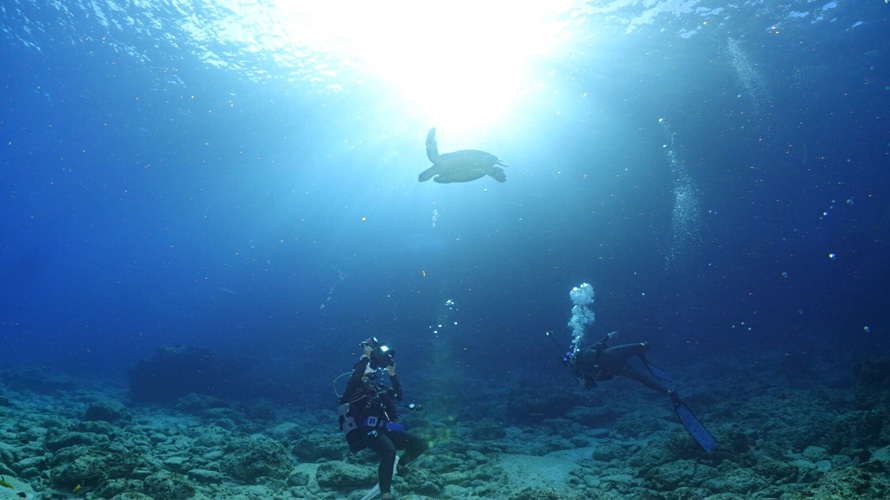 【写真】ダイビング