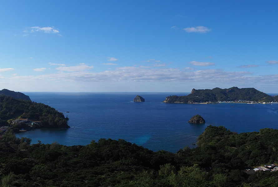 【写真】桑ノ木山