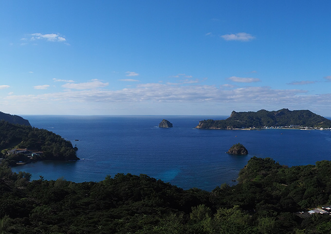 【サムネイル】桑ノ木山